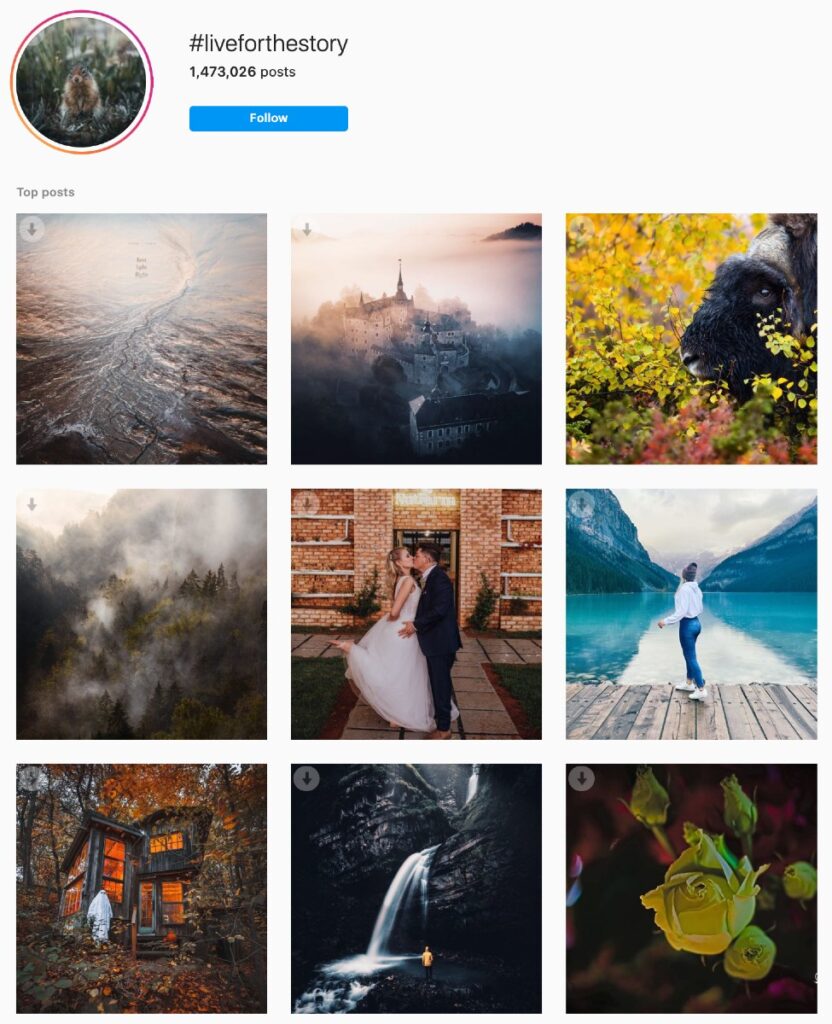 Brief #34: The power of brand advocates |