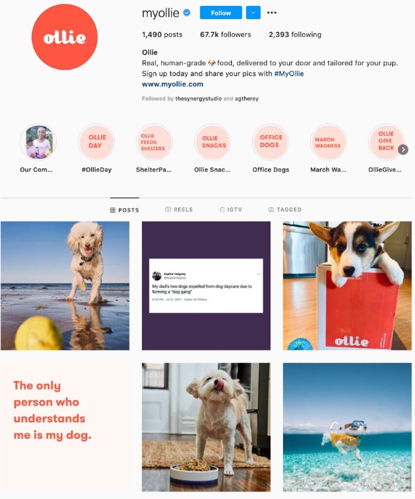 Ollie's Instagram page showing UGC of people's dogs