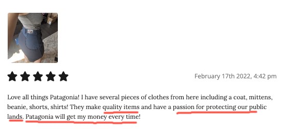 A 5-star customer testimonial on Patagonia's website praising the company's quality items and passion for protecting out land. "Patagonia will get my money every time," she said.